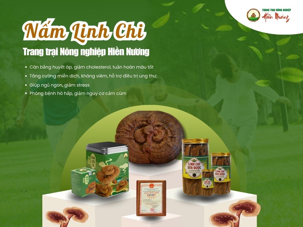 4. Hiền Nương Farm – nấm linh chi hữu cơ, bào tử nguyên chất